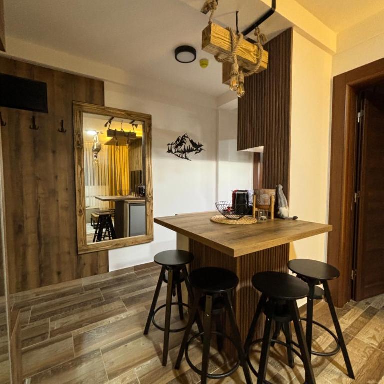 Apartman 16 Pancic - Apartman sa 1 Spavaćom Sobom - 7