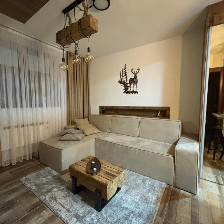Apartman 16 Pancic - Apartman sa 1 Spavaćom Sobom - 1