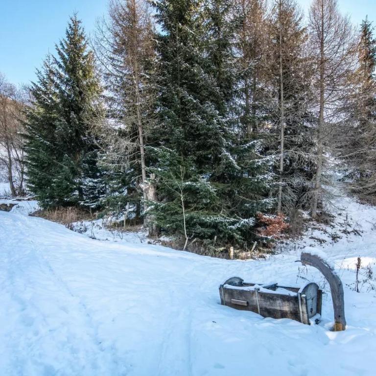 Chalet Chez Maxime Hameau l’Archaz Valloire - Chalet 2 Chambres - 37