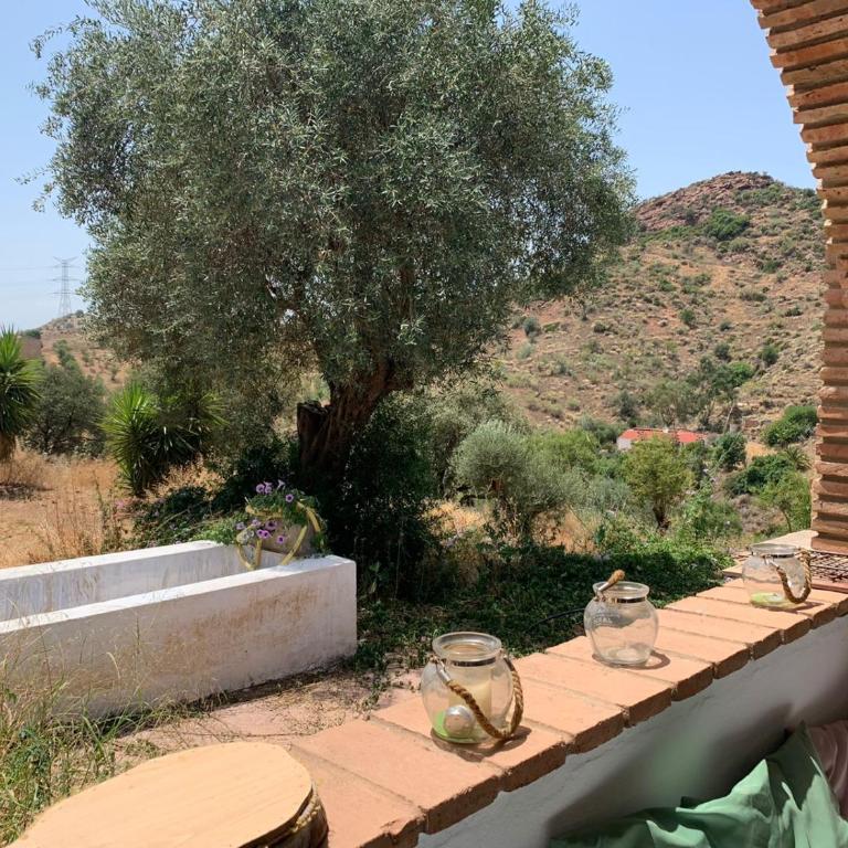 Casa Rural Los Almendros - Chalet - 18