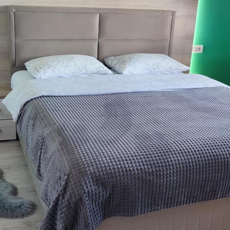 Mountain inn - Kuća sa 2 Spavaće Sobe - 4