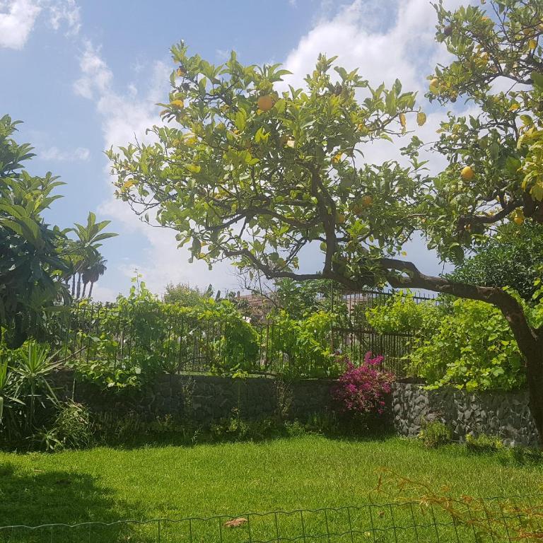 Villa Muse Holiday oasi sul mare di CapoMulini, Acireale - Sicilia, Italy Locazione Turistica - Villa - 17