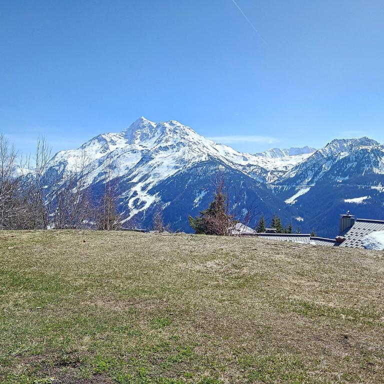 2 pièces- parking couvert- 4 personnes- les terrasses de la rosiere - Appartement 1 Chambre - 11