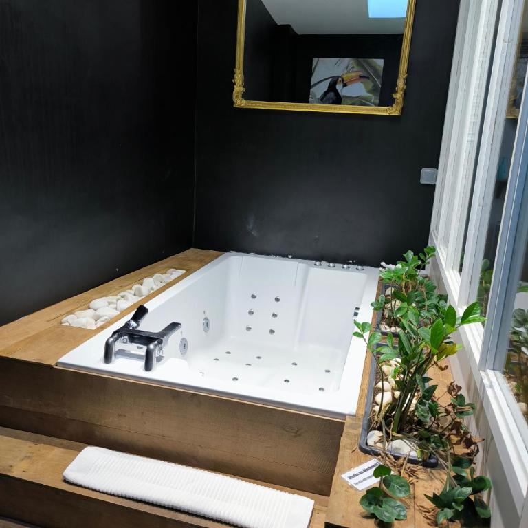 Atipyc Nimes - Apartamento Superior con jacuzzi - 5