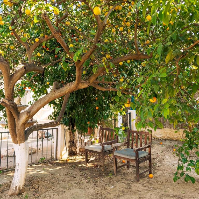 Charming country house Torremolinos - Four-Bedroom Vacation Home - 48