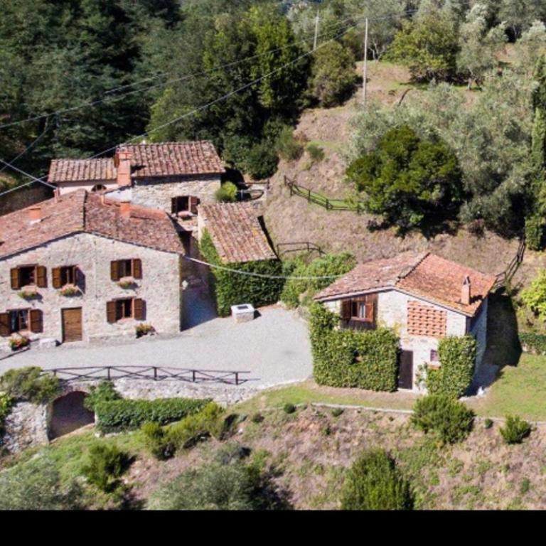 Casa rurale Colleccio - Oak Hills Modern Tuscany house in a Sustainable 1200s Hamlet - Treehouse terrace - Casa Vacanze - 4