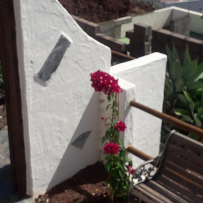 Nueva Casa rural piscina privada - Casa con 1 dormitorio - 13