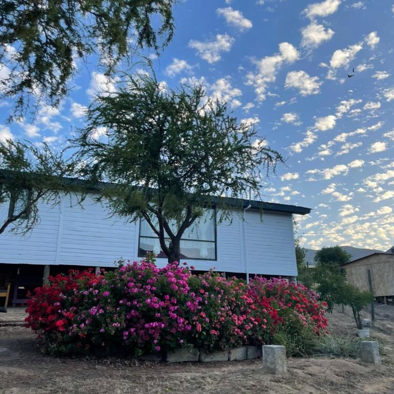 Refugio El Sauce - Two-Bedroom House - 1