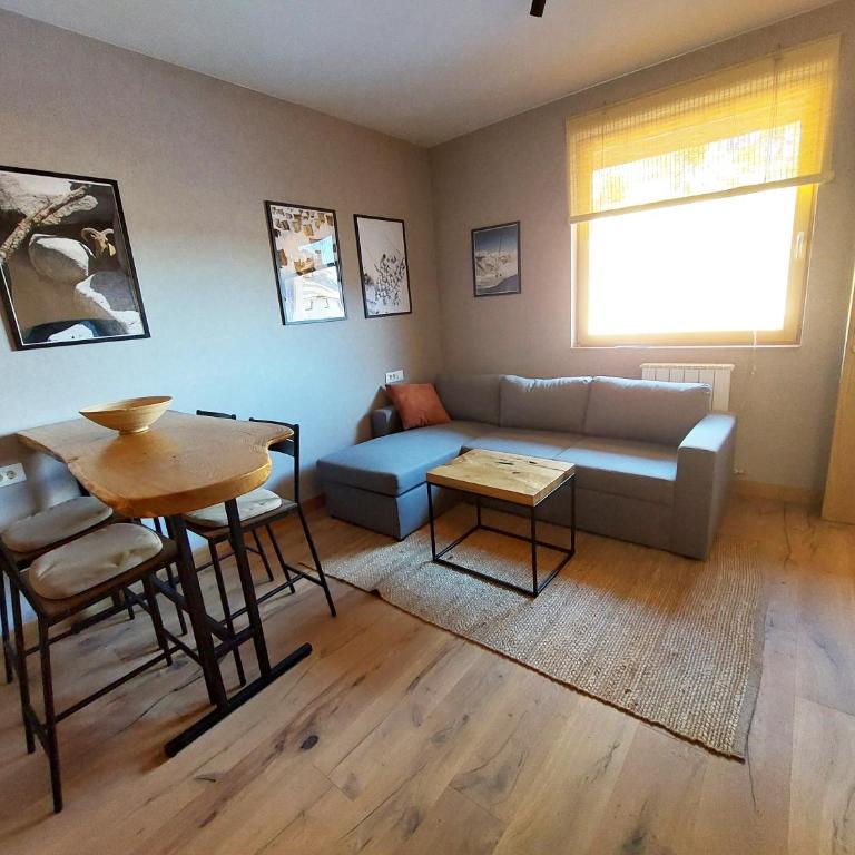 Apartment C519 - Aparthotel Vučko Jahorina - Private Host - Apartman sa 1 Spavaćom Sobom - 4