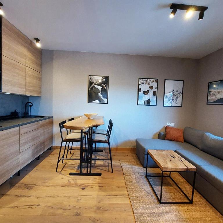 Apartment C519 - Aparthotel Vučko Jahorina - Private Host - Apartman sa 1 Spavaćom Sobom - 5