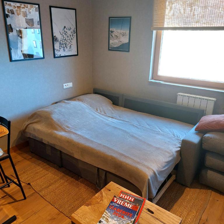 Apartment C519 - Aparthotel Vučko Jahorina - Private Host - Apartman sa 1 Spavaćom Sobom - 10