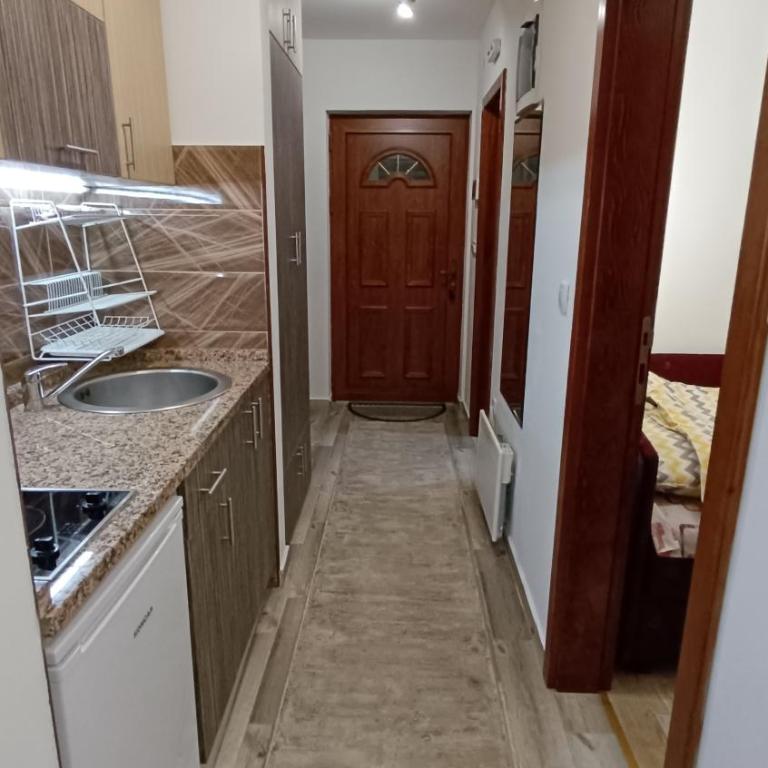 Vila Suri Centar - Apartman - 4