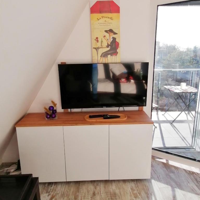 Zmaj apartman - Divčibare - Apartman sa 1 Spavaćom Sobom - 10