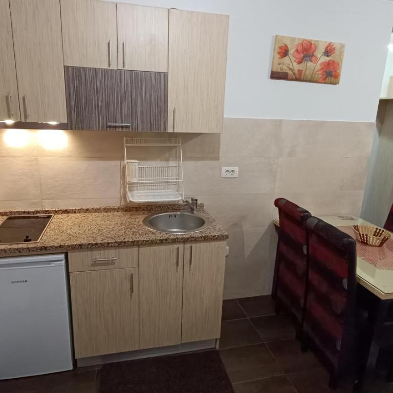 Vila Suri Centar - Apartman - Prizemlje - 3