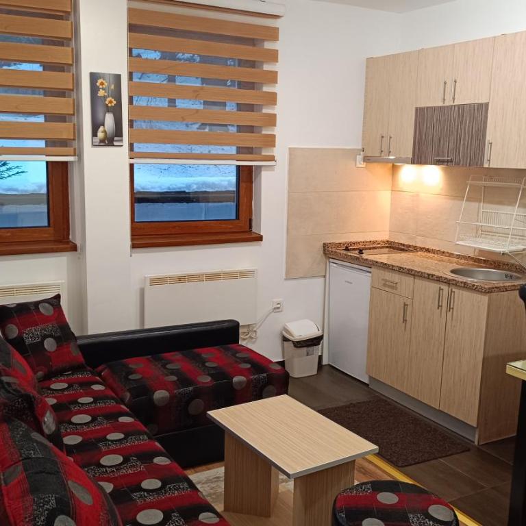 Vila Suri Centar - Apartman - Prizemlje - 2