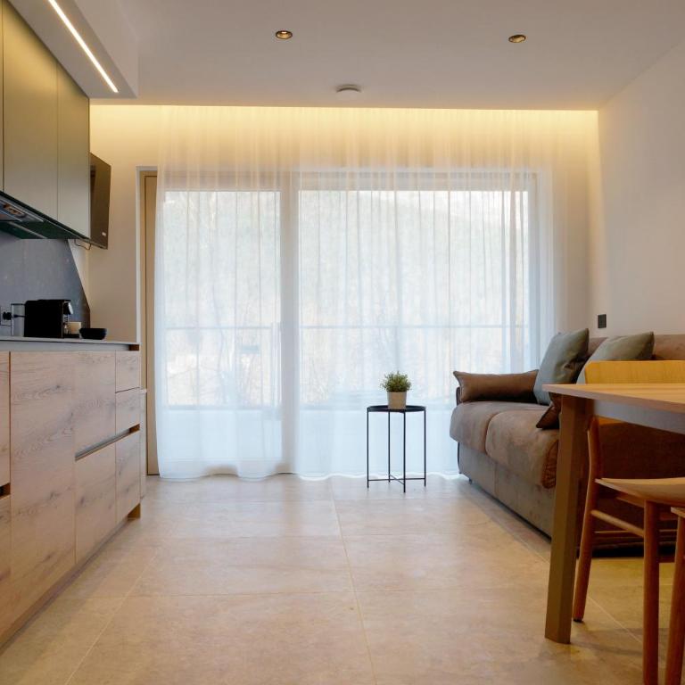 Chalet Larix Andalo Deluxe Apartments - Appartamento Superior - 28