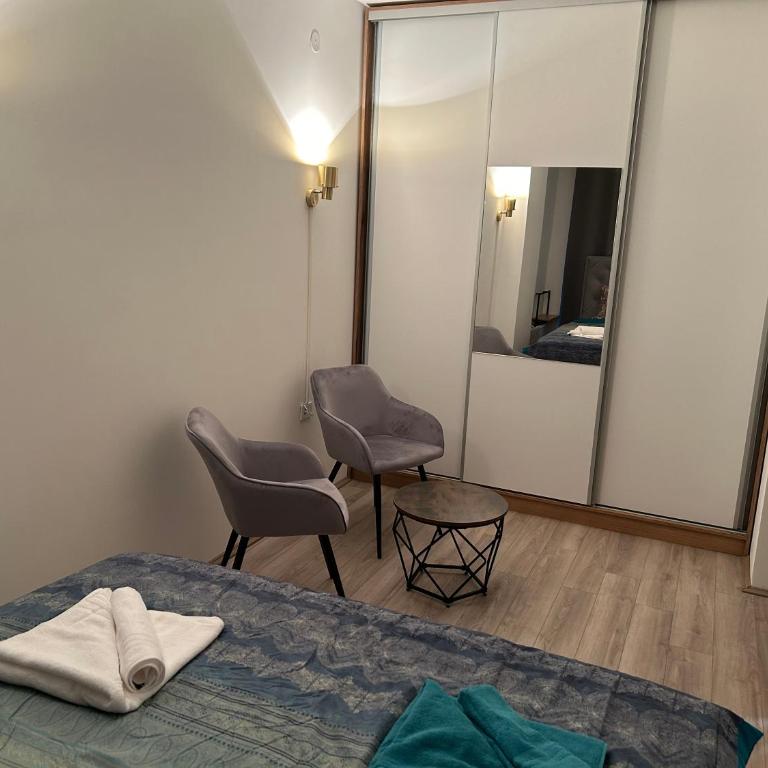De Lux Nedeljkovic President - Apartman sa 1 Spavaćom Sobom - 3