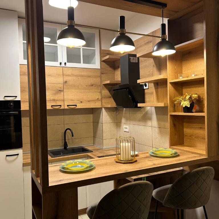 De Lux Nedeljkovic President - Apartman sa 1 Spavaćom Sobom - 7