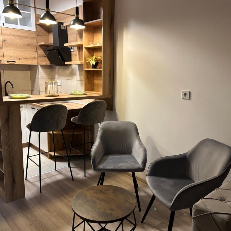 De Lux Nedeljkovic President - Apartman sa 1 Spavaćom Sobom - 8