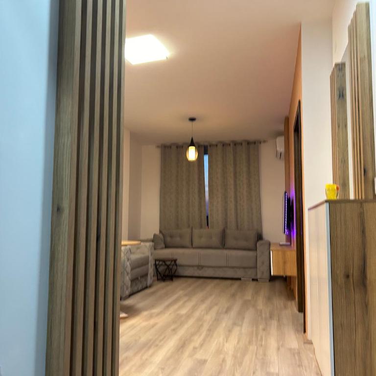 De Lux Nedeljkovic President - Apartman sa 1 Spavaćom Sobom - 26