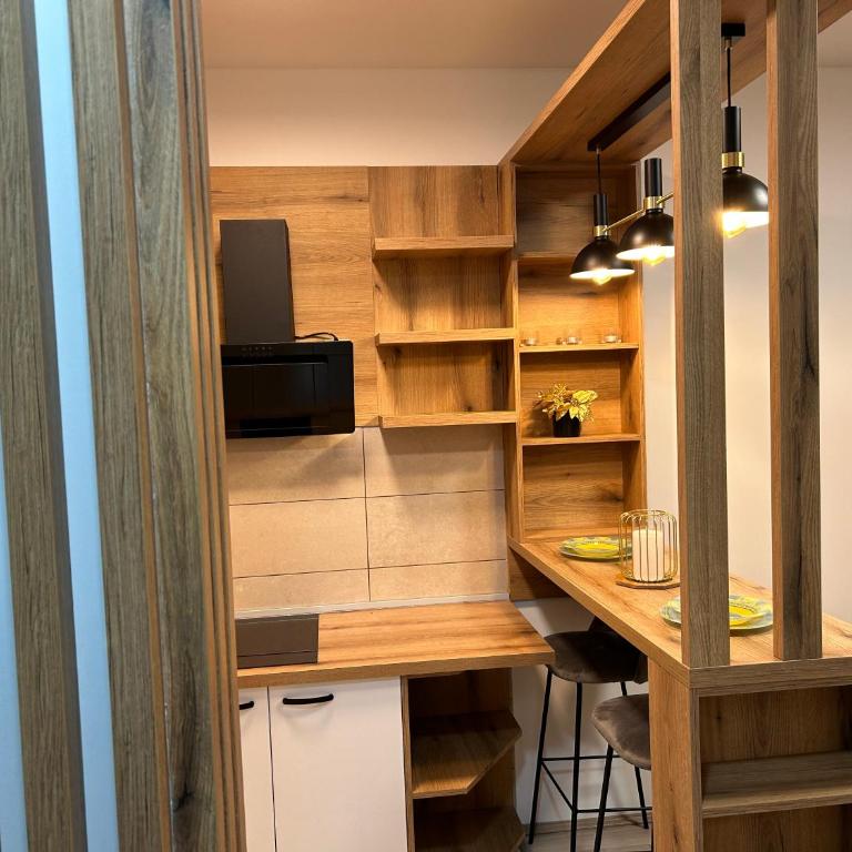 De Lux Nedeljkovic President - Apartman sa 1 Spavaćom Sobom - 30