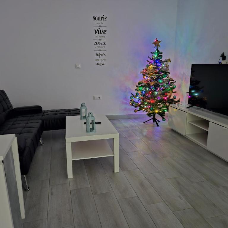 Apartamento mi currilla - Apartamento de 2 dormitorios - 17