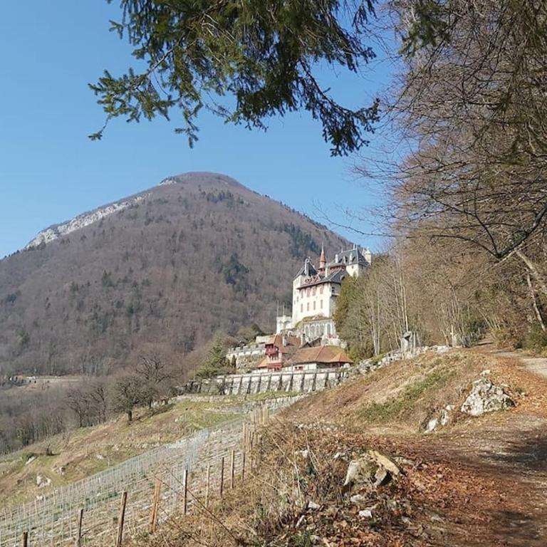 Charmant Appartement Lac d'Annecy / Ski - 6 Pers - Appartement 3 Chambres - 15