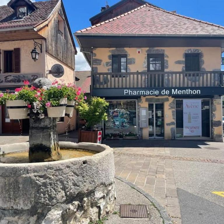 Charmant Appartement Lac d'Annecy / Ski - 6 Pers - Appartement 3 Chambres - 19