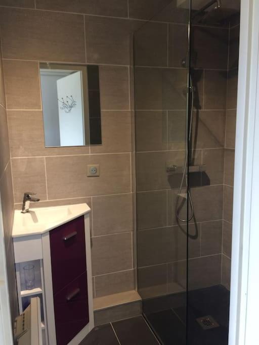 Charmant Appartement Lac d'Annecy / Ski - 6 Pers - Appartement 3 Chambres - 9