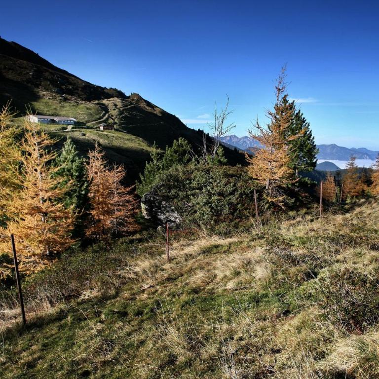 Villa Alpin - Apartment with Terrace - 40