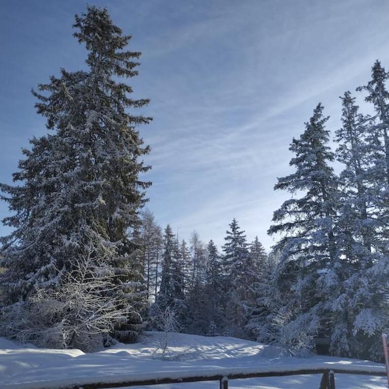 Appartement avec jardin à Crans-Montana - Appartement 1 Chambre - 18