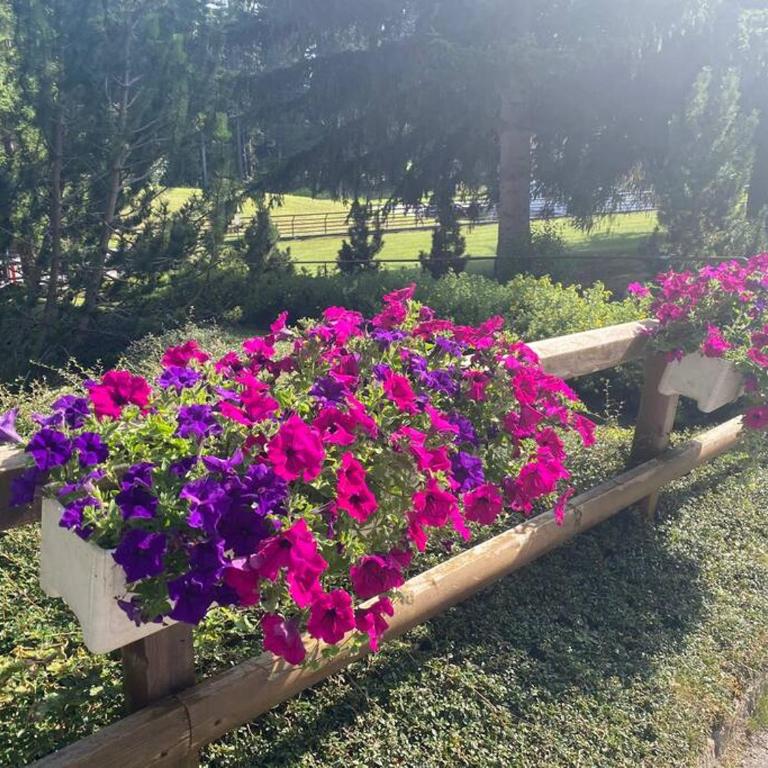 Appartement avec jardin à Crans-Montana - Appartement 1 Chambre - 19