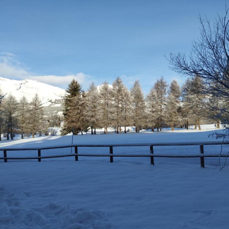 Appartement avec jardin à Crans-Montana - Appartement 1 Chambre - 24