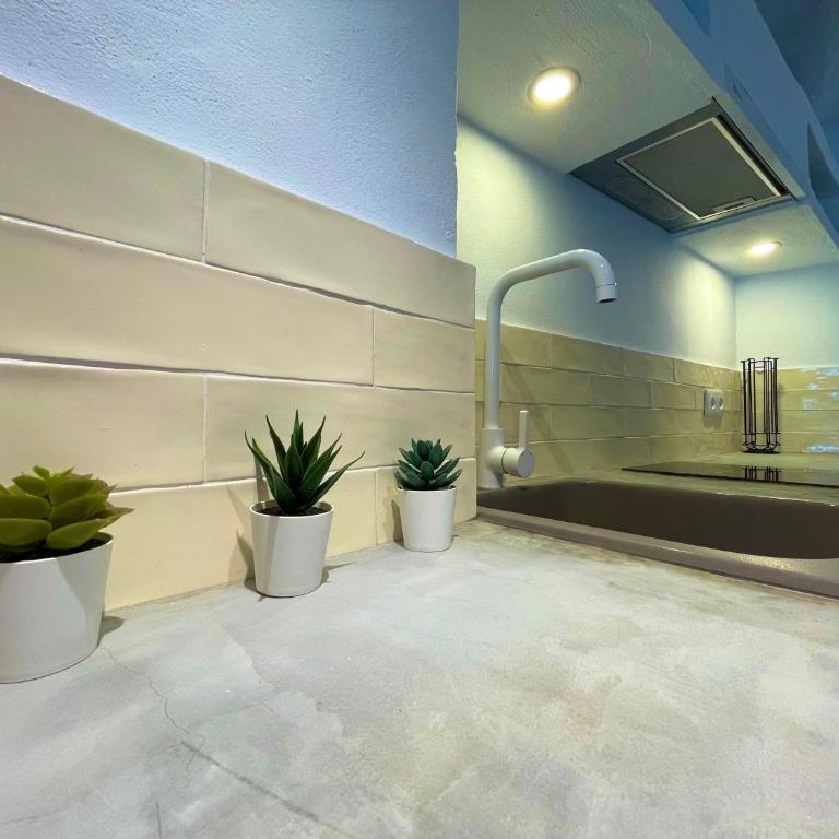 CASA MÚA - Apartamento de 1 dormitorio - 16