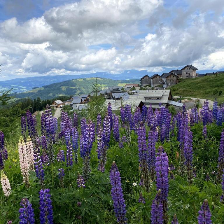 KlippitzStar mit Panoramablick - Chalet mit 2 Schlafzimmern - 25
