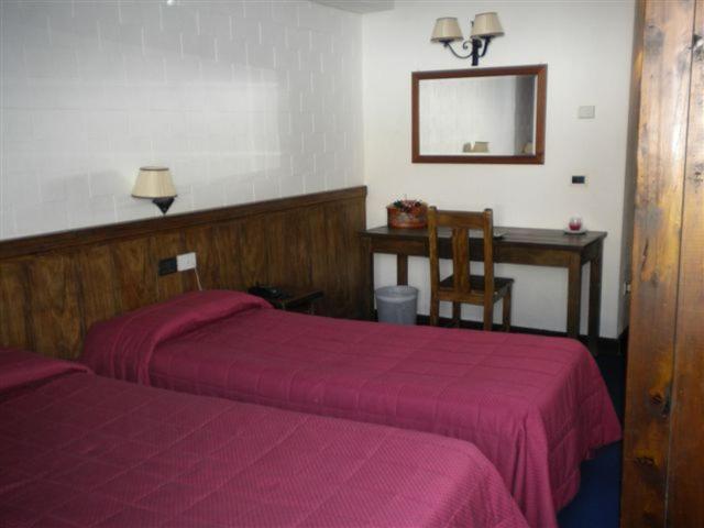 Hotel Tavernier - Camera Matrimoniale/Doppia con Letti Singoli - 6