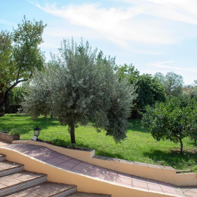 Casa Rural La Milagrosa en Córdoba - Casa de 5 dormitorios - 14