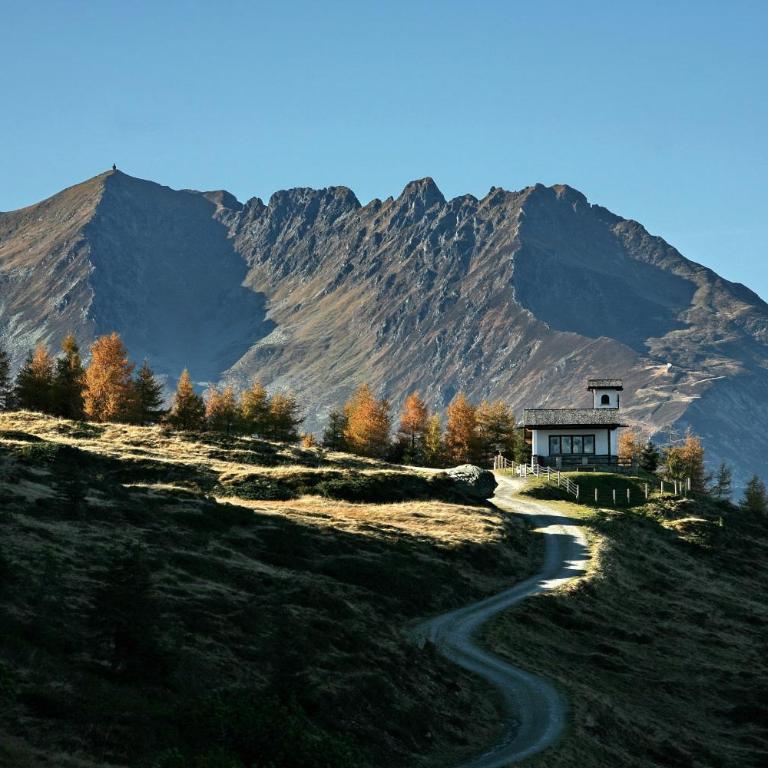 Villa Alpin - Apartment with Terrace - 38