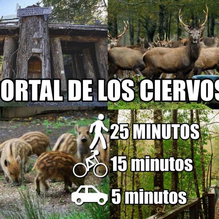 Cabaña Rustica, Lago/bosque/Puerto/Estufa Pellet - Casa de 2 dormitorios - 15