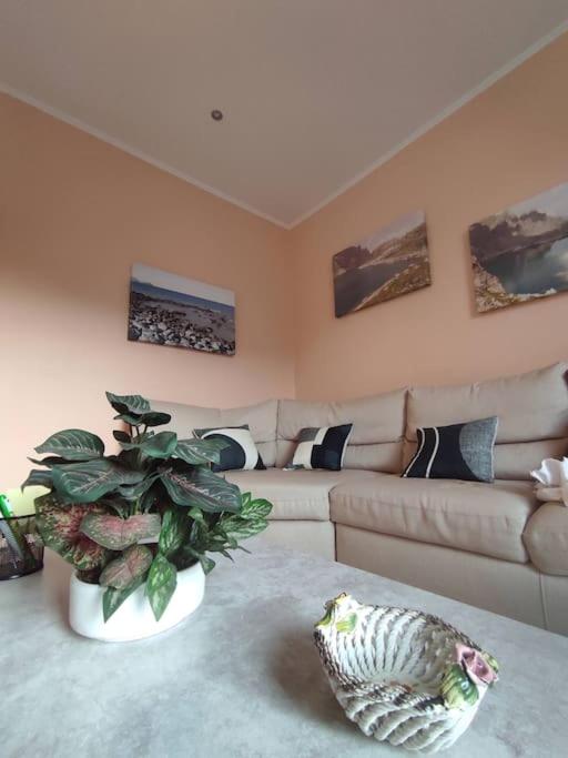 Casa Zia Luisa - Appartamento con 1 Camera da Letto - 23