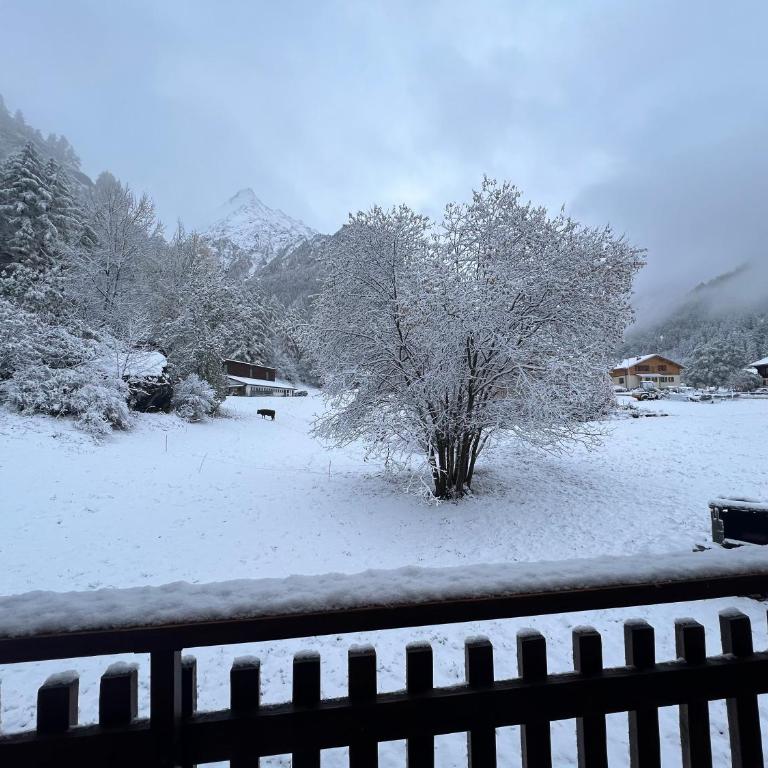 Chalet Les Rocailles - Appartement 3 Chambres - 20
