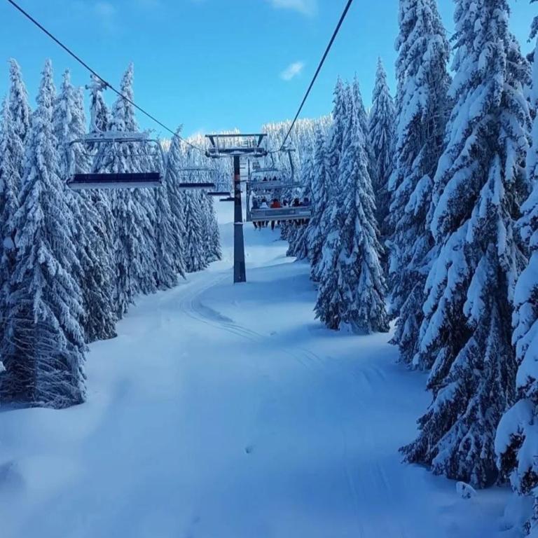Apartmani L6 & P90 Milmari Kopaonik - Apartman sa Terasom - 48