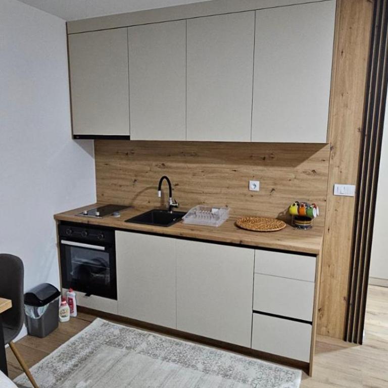 Vrucinic Jahorina apartman - Apartment with Mountain View - 4