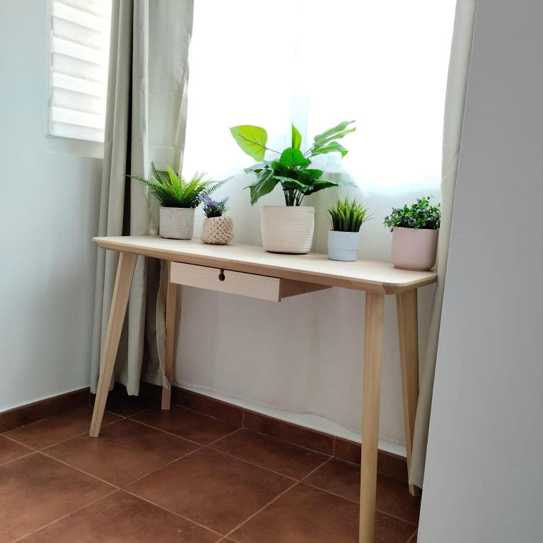 Dunas Dream Pool/chillout/Ocean view - Apartamento con vistas al mar - 56