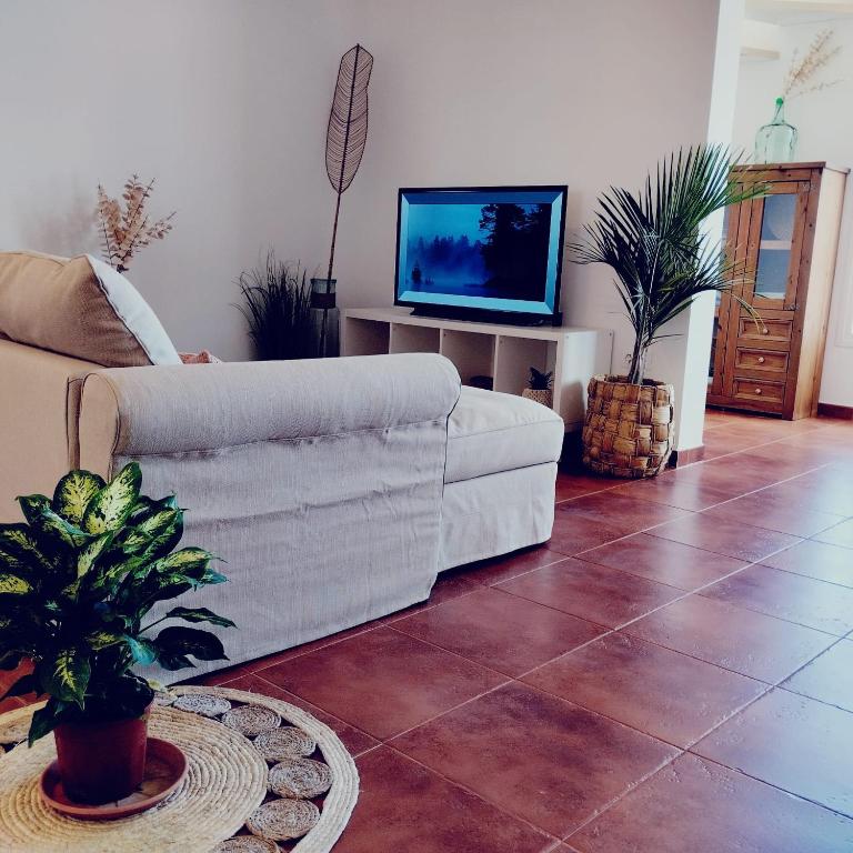 Dunas Dream Pool/chillout/Ocean view - Apartamento con vistas al mar - 51
