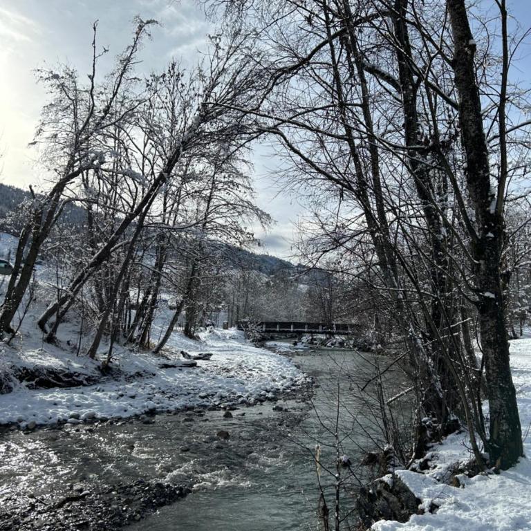 Praz sur Arly - proche des pistes et de Megève - Appartement 1 Chambre - 27