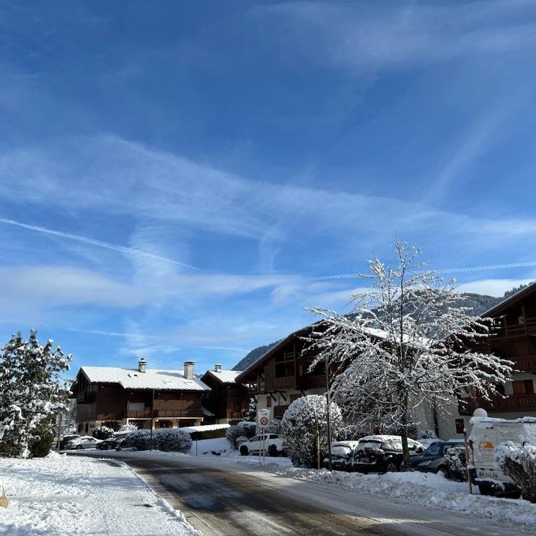 Praz sur Arly - proche des pistes et de Megève - Appartement 1 Chambre - 25