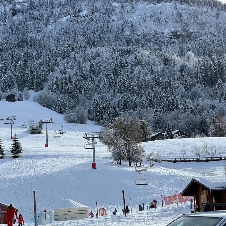 Praz sur Arly - proche des pistes et de Megève - Appartement 1 Chambre - 22