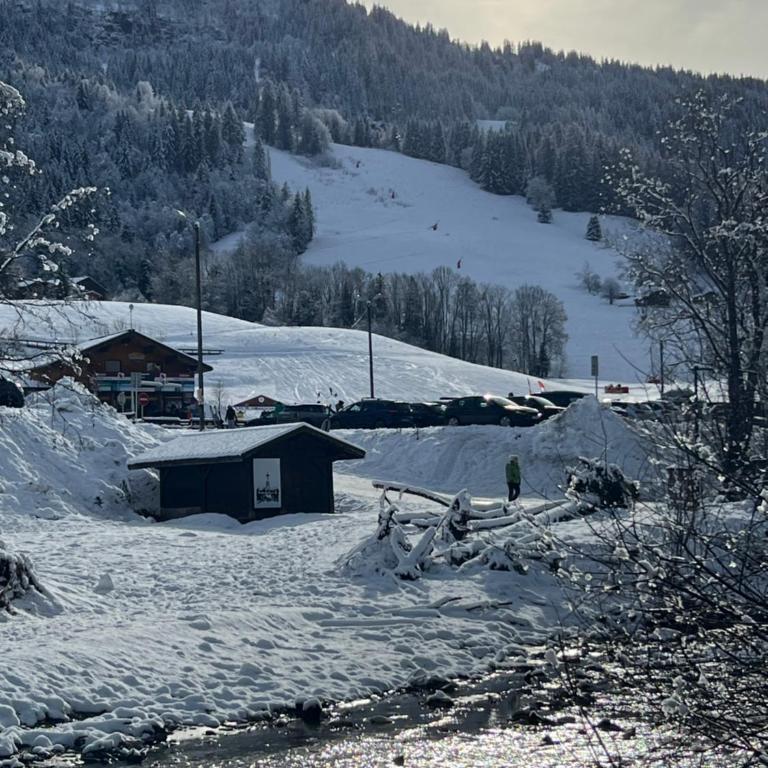 Praz sur Arly - proche des pistes et de Megève - Appartement 1 Chambre - 20