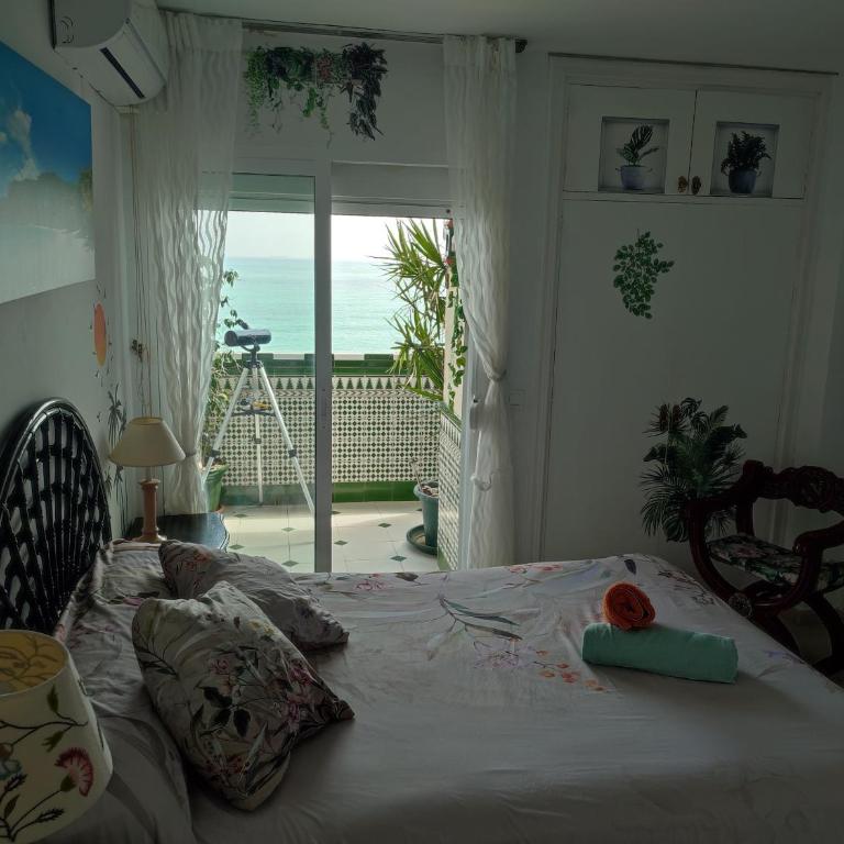 Apartamento en Playa Semi-Privada - Apartamento de 2 dormitorios - 23